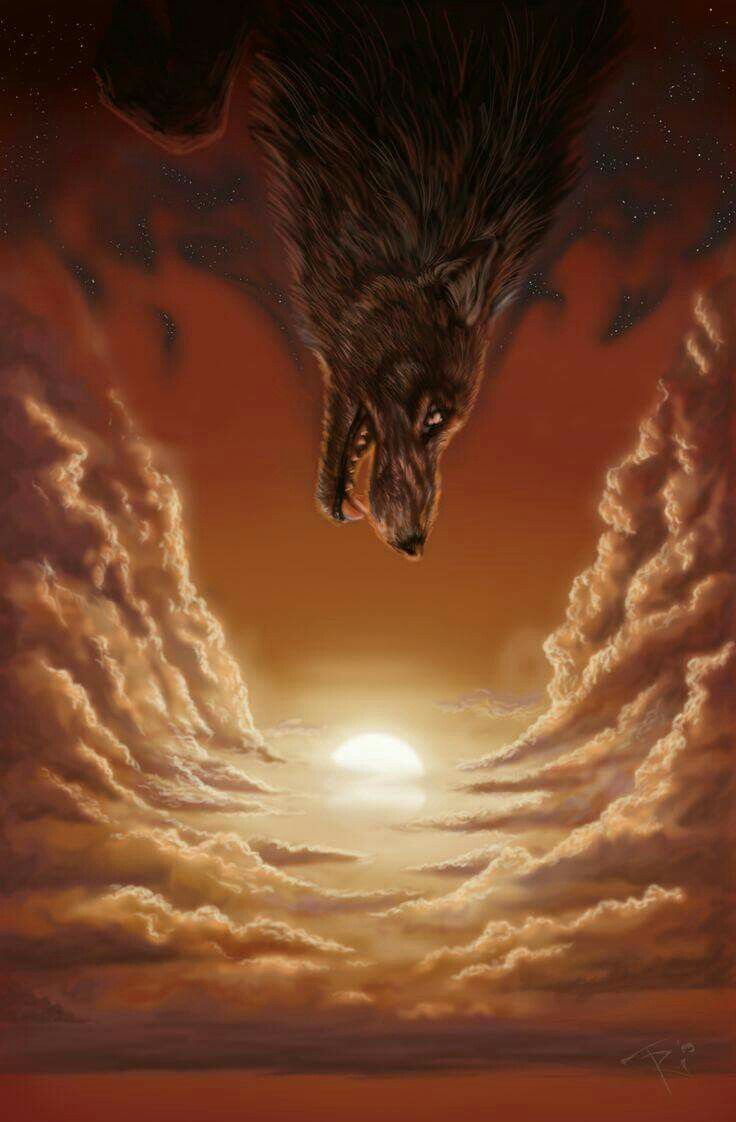 Skoll
